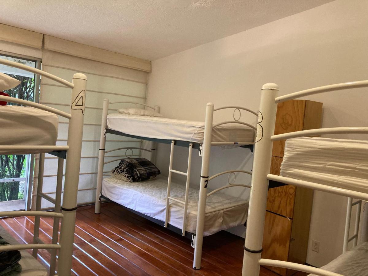 Hostal Cuija Coyoacan Berlin 268 Coyoacan Μεξικό Εξωτερικό φωτογραφία