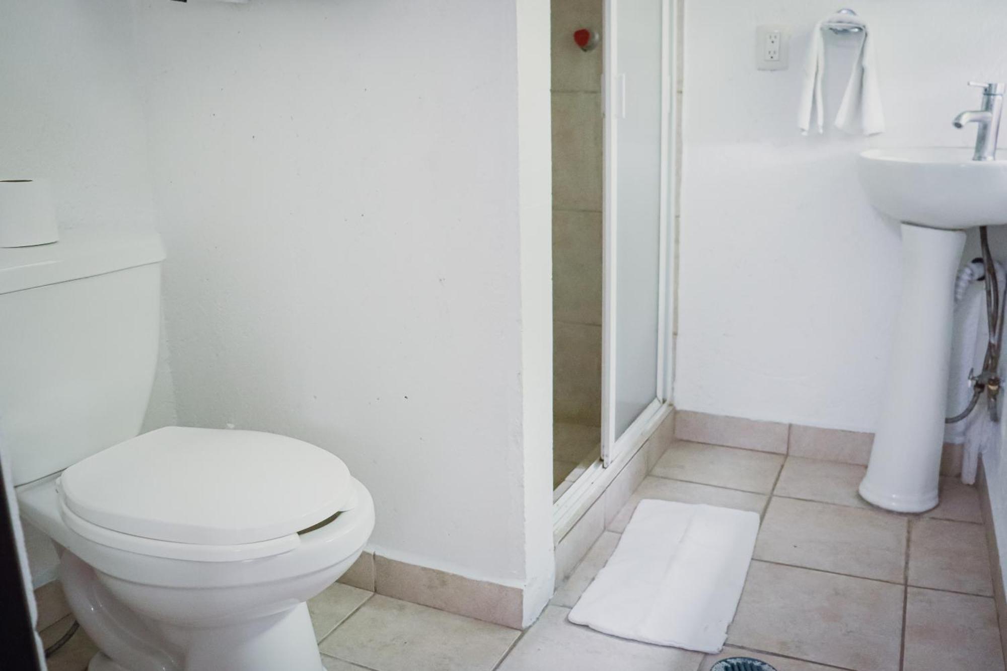 Hostal Cuija Coyoacan Berlin 268 Coyoacan Μεξικό Εξωτερικό φωτογραφία