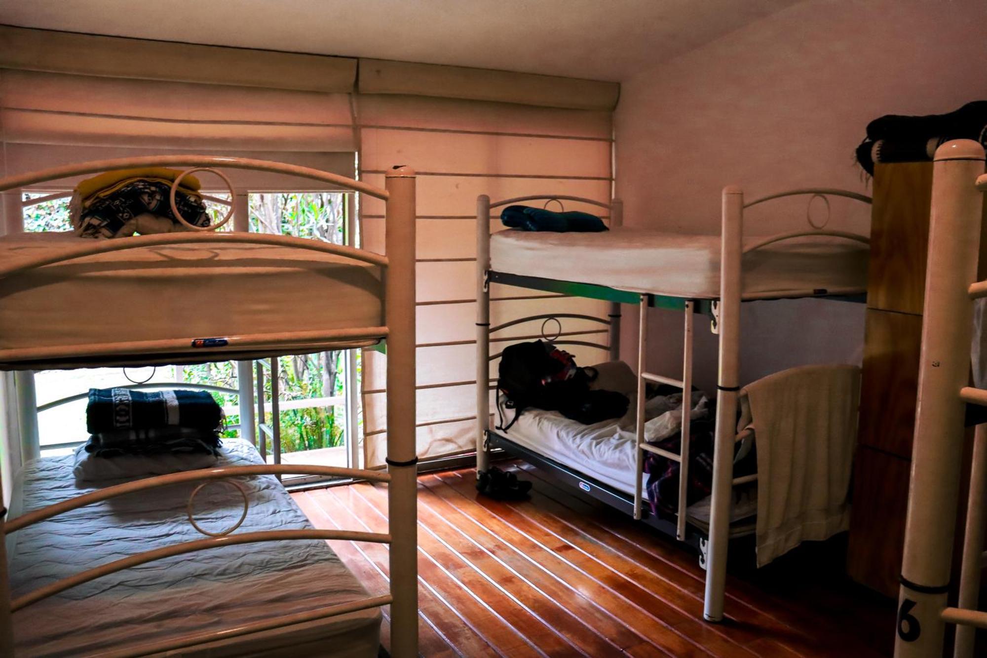 Hostal Cuija Coyoacan Berlin 268 Coyoacan Μεξικό Εξωτερικό φωτογραφία