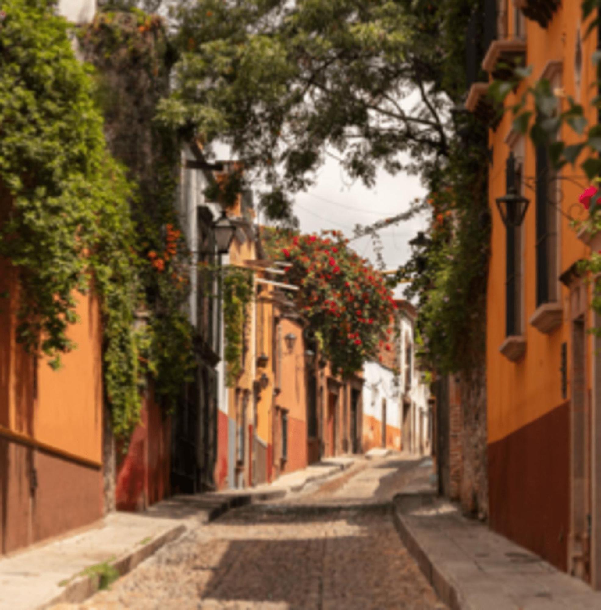 Hostal Cuija Coyoacan Berlin 268 Coyoacan Μεξικό Εξωτερικό φωτογραφία
